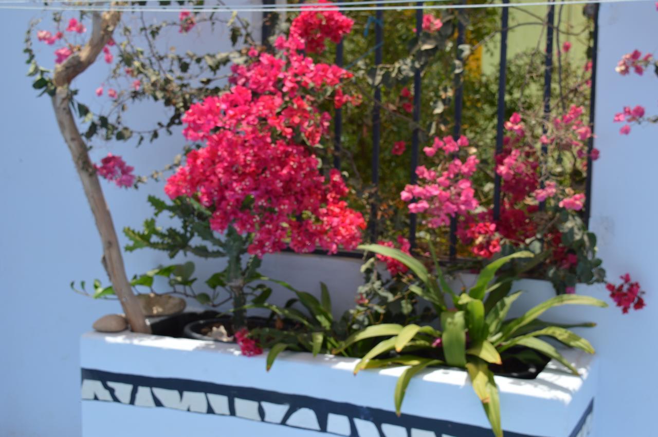 Yacht Club Sal Bed & Breakfast Palmeira Bagian luar foto
